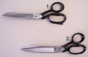 Skr�ddersakse Peloro